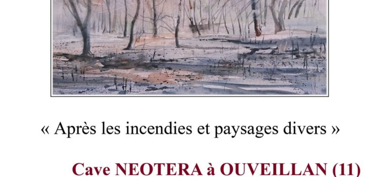 affiche de l’exposition de Marie Claude Canet